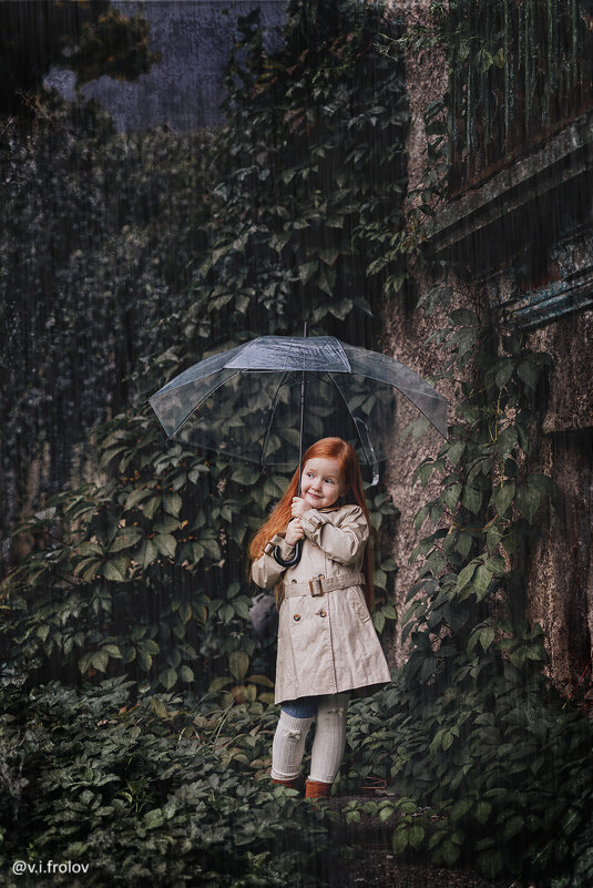 Портрет Амелии под дождем ) - Валерий Фролов