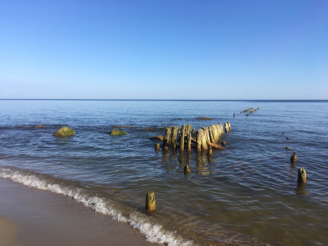 Море Светлогорска - Татьяна 