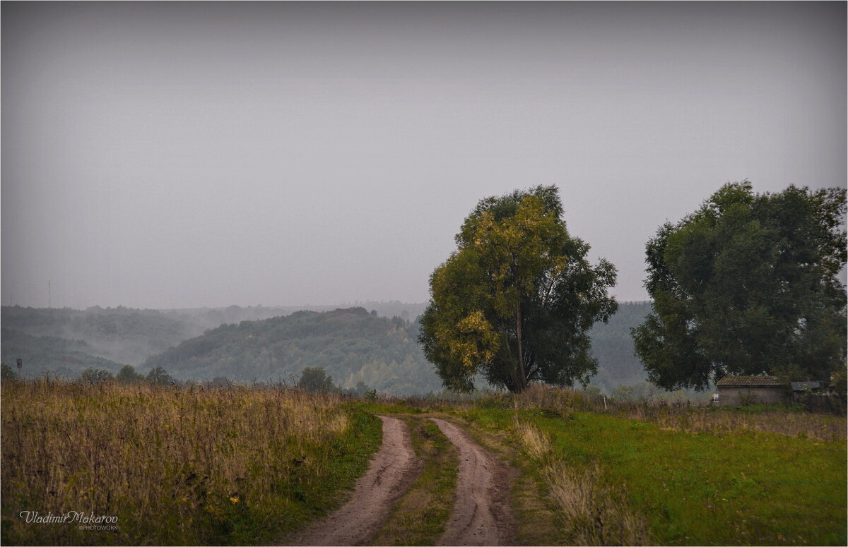 "Утро в дороге. Потепление"© - Владимир Макаров