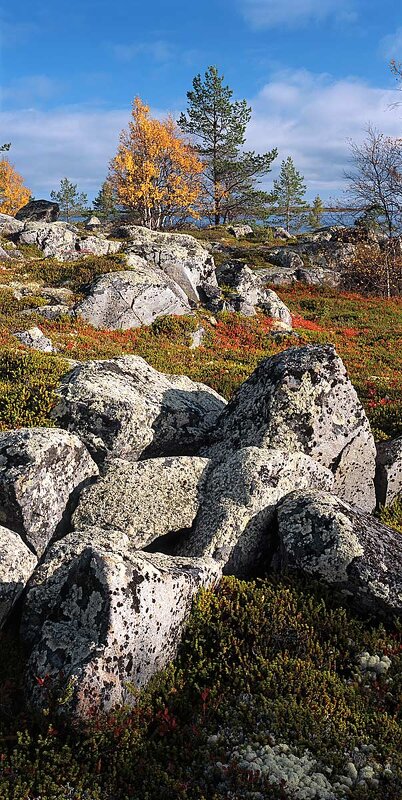 Осень в саду камней - Сергей Курников