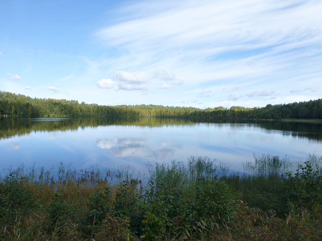 Озеро Светлояр - Лидия Бусурина