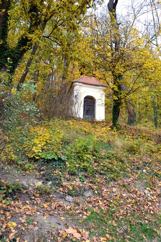 В осенних парках - Ольга 