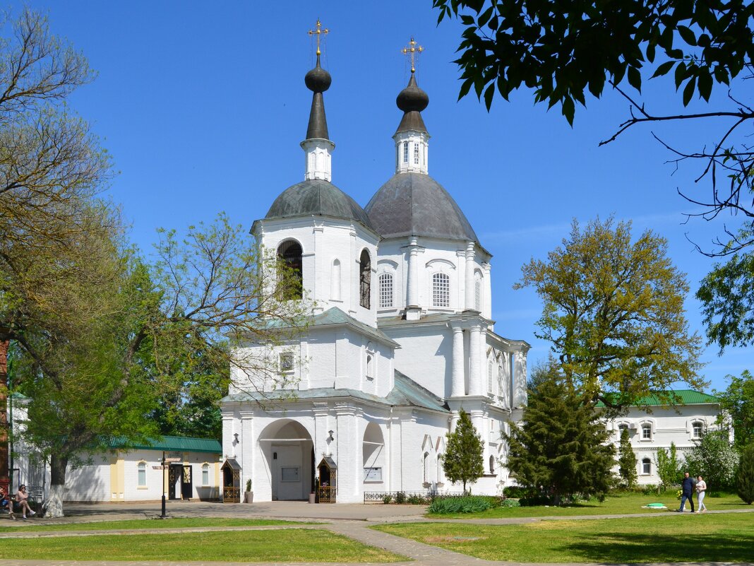 Старочеркасская. Церковь Донской иконы Божией Матери. - Пётр Чернега