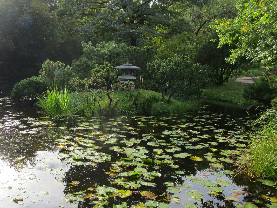 Пруд в Японском саду - Ольга Довженко