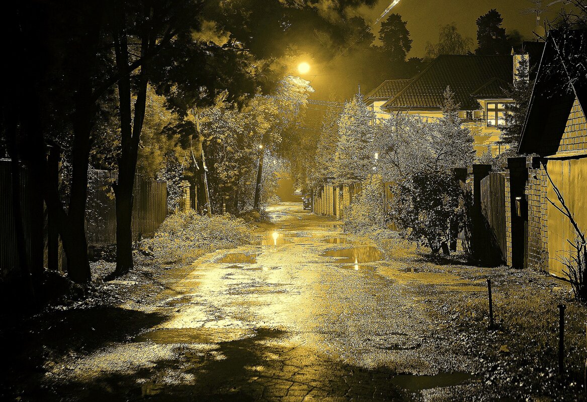 Ночь, улица, фонарь - Леонид leo