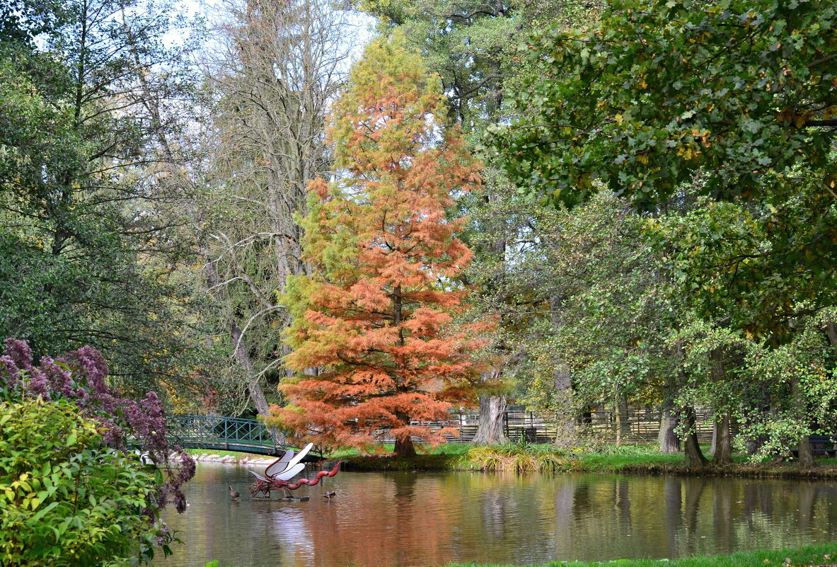 Яркие краски Осени - tamara *****