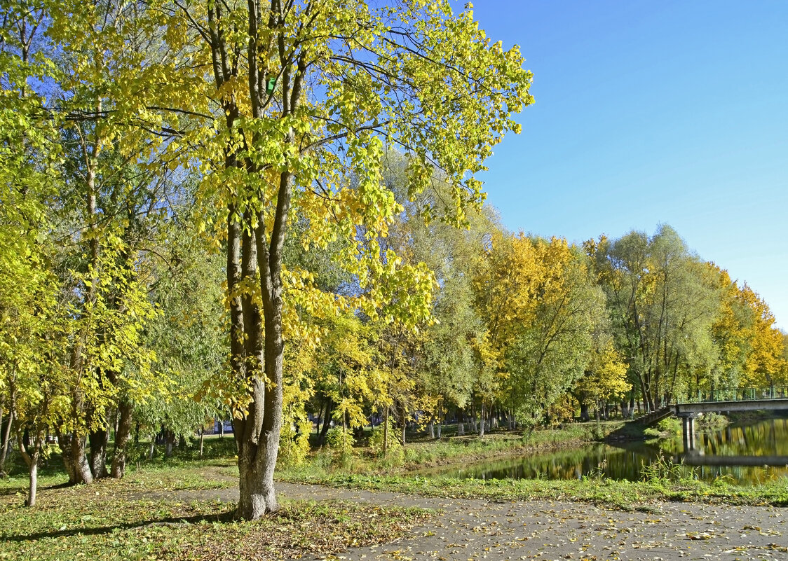 Осень в парке - Нина Синица