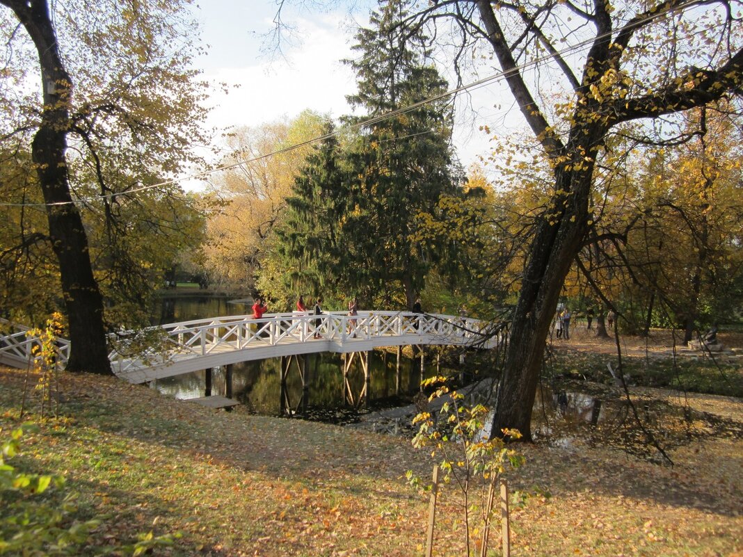 Природный музей-заповедник А.С. Пушкина «Болдино» - ЛЮДМИЛА 