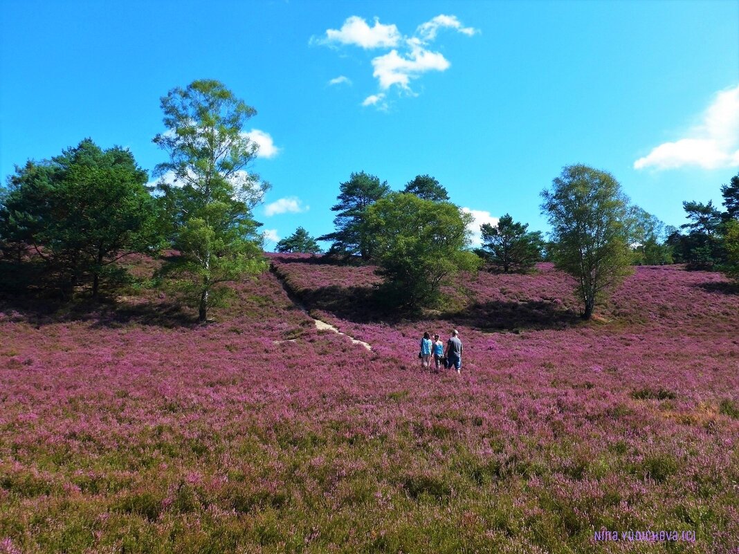 Fischbeker Heide Hamburg - Nina Yudicheva