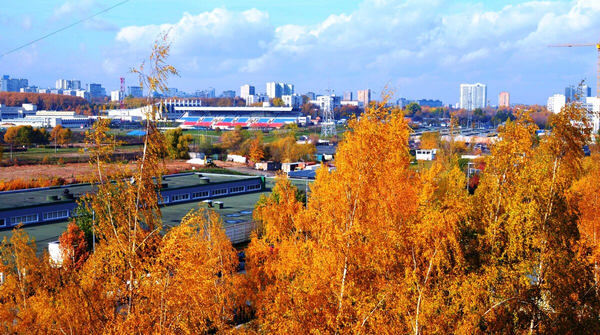 Осенний день в Битце, Москва - ГЕНРИХ 