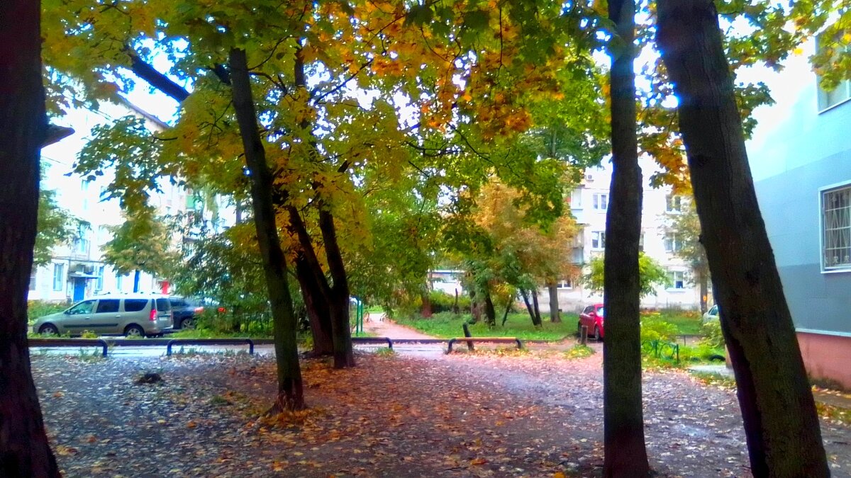 Осень в городе - Игорь Чуев