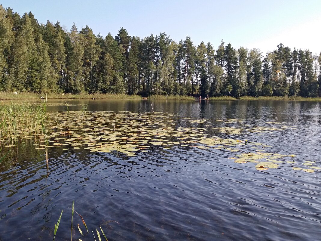 Озеро Черненькое - Galina Solovova