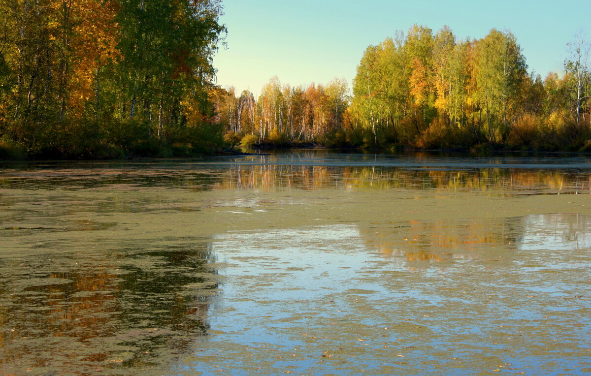 Река Нейва - Нэля Лысенко