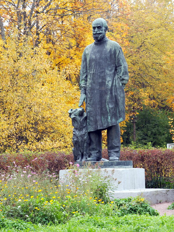 4. Златая осень, Павлово. - Юрий Велицкий