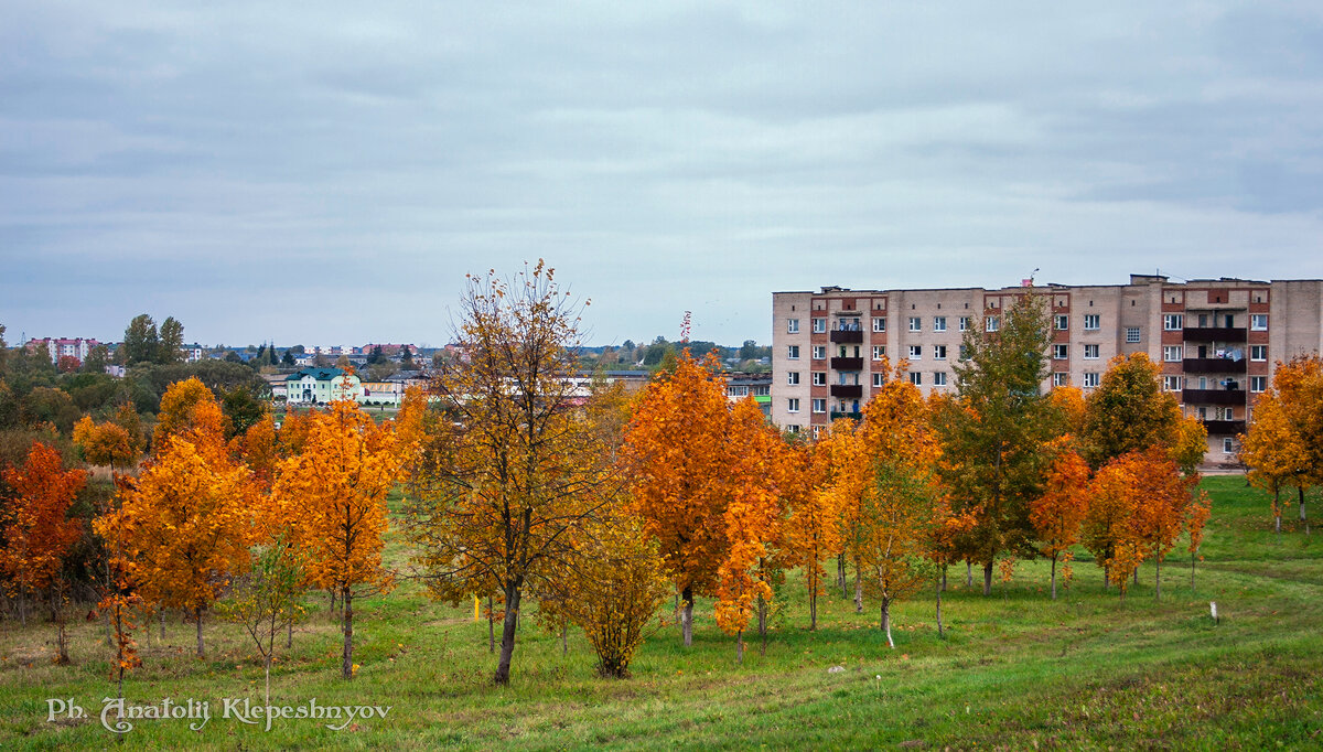 Золотое убранство осени.  (Снято на Canon EOS 300d) - Анатолий Клепешнёв