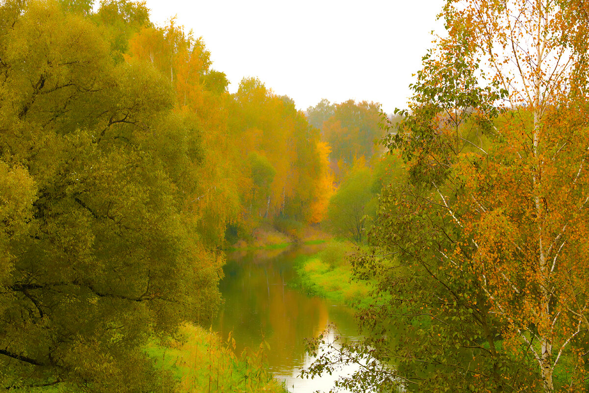 Осенняя картина - Светлана 