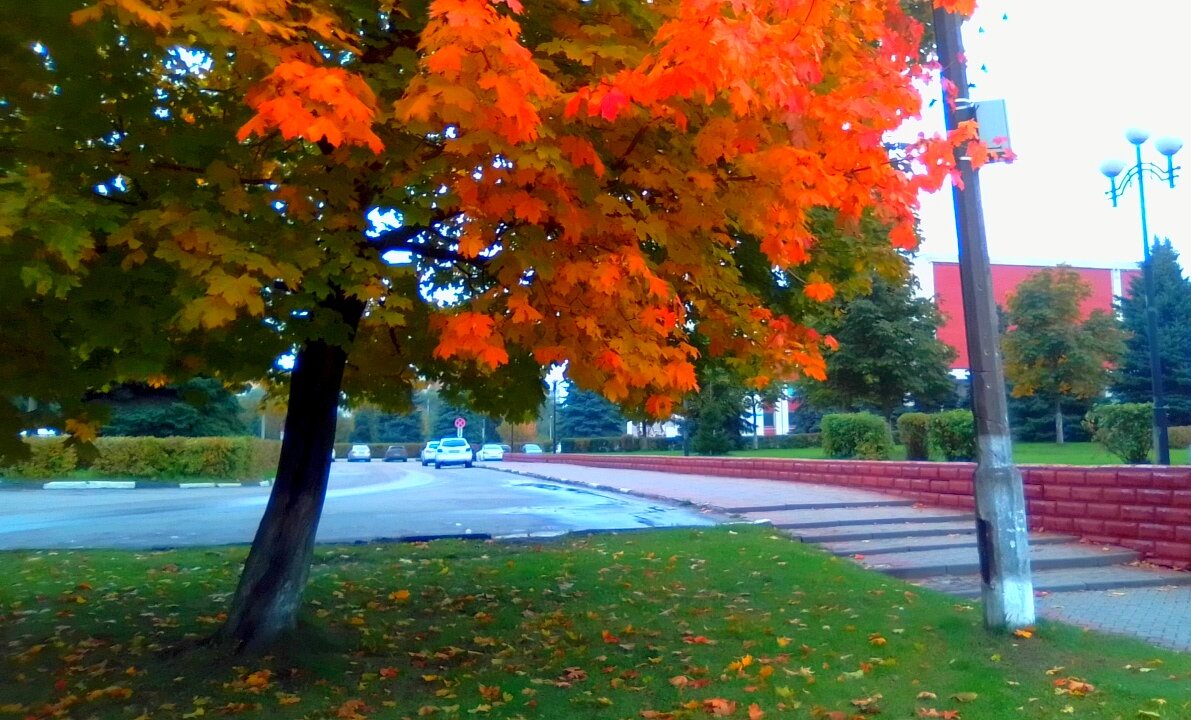 Осень - Игорь Чуев