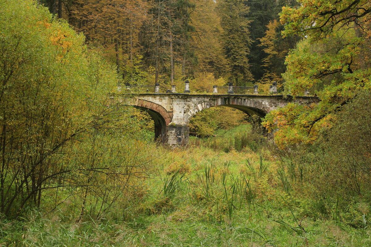 Старый мост... - Юрий Моченов