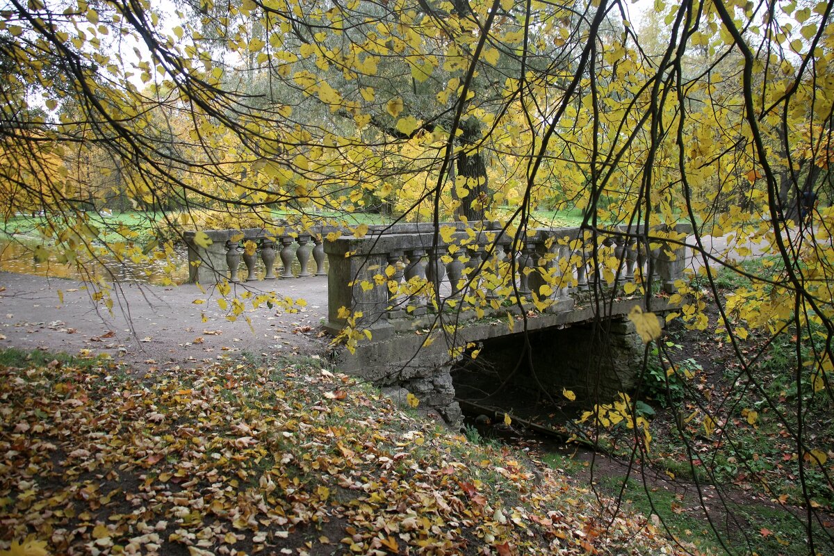 Царскосельская осень - Наталья Герасимова