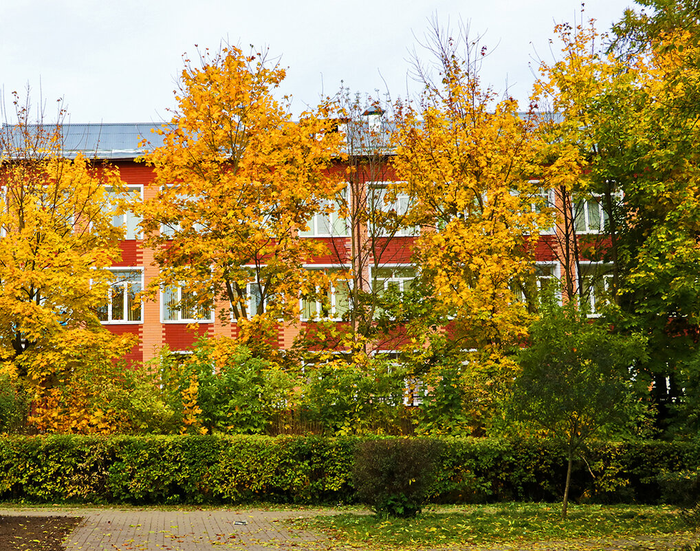 Осень в городе - Светлана 