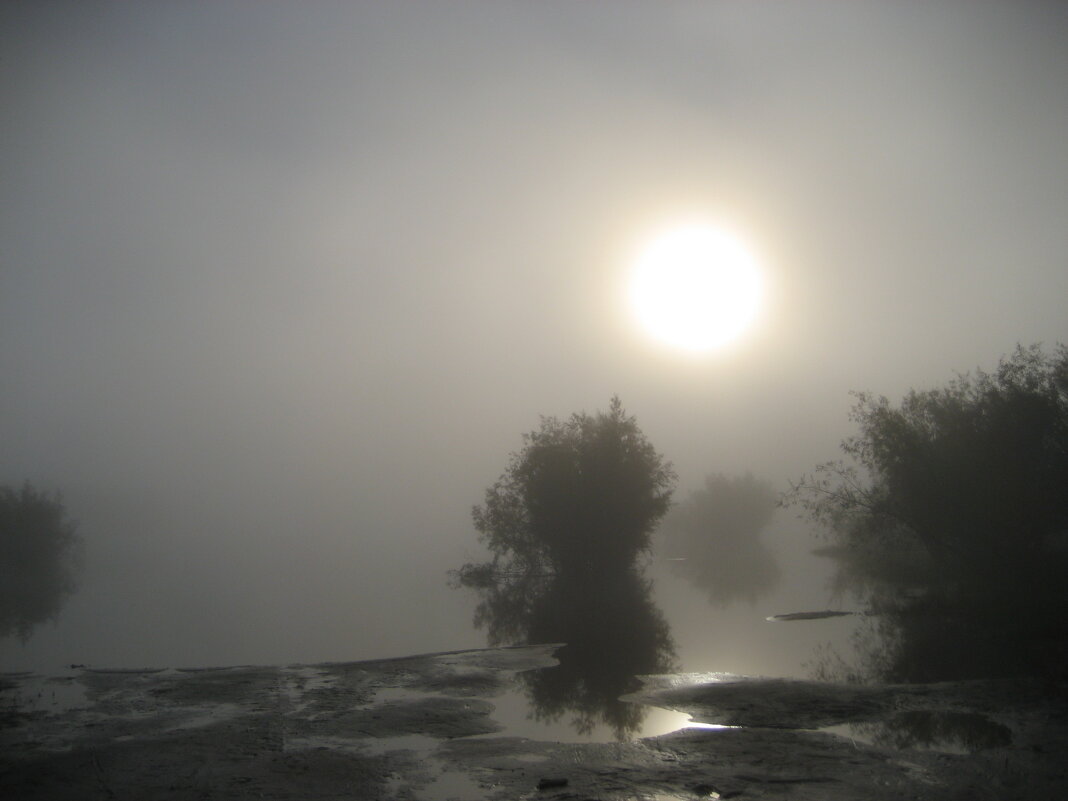 Туманное утро - Anna Ivanova