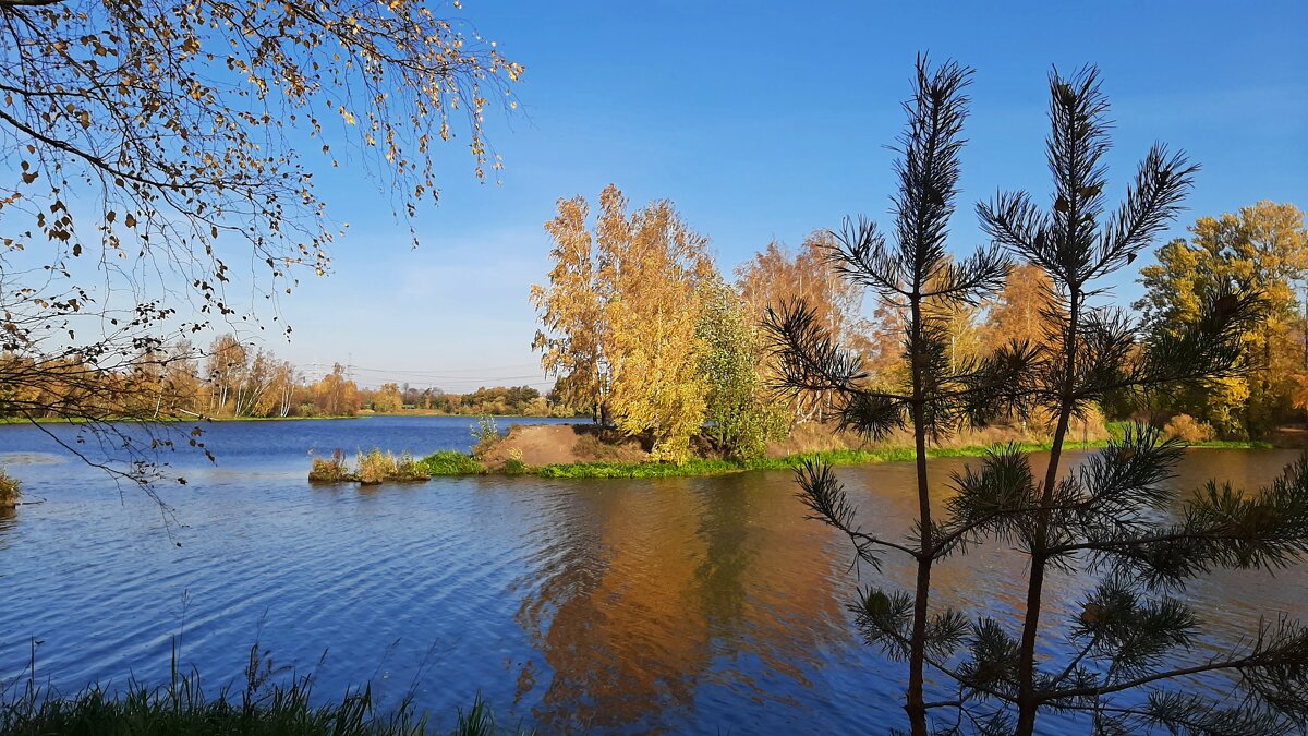 Солнечным октябрьским днём у реки Охта - Елена Павлова (Смолова)