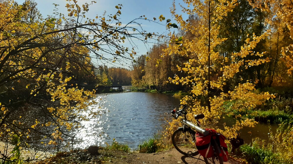 Солнечным октябрьским днём у реки Охта - Елена Павлова (Смолова)