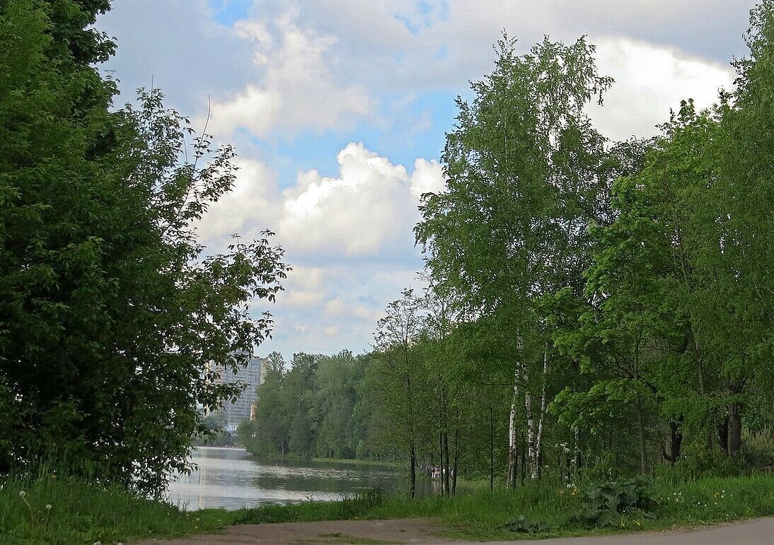 На берегу озера - Вера Щукина