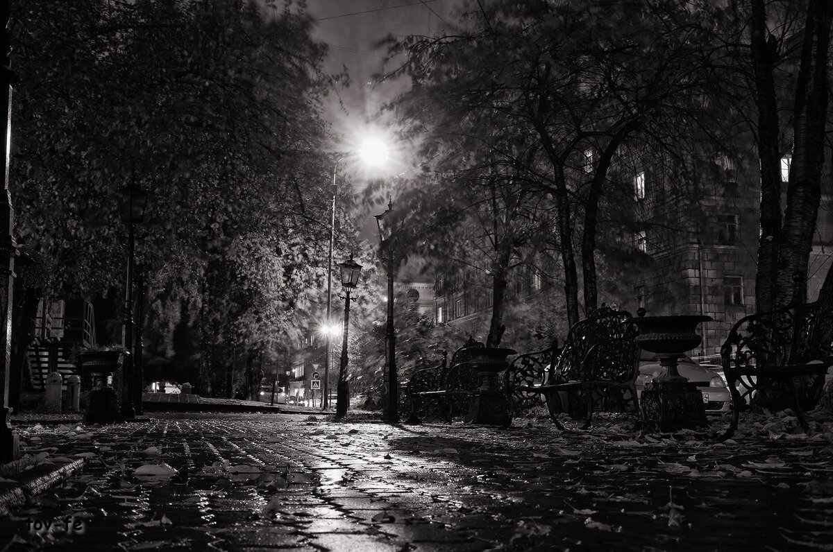 Ночь. Улица. Фонарь - Олег Терёхин