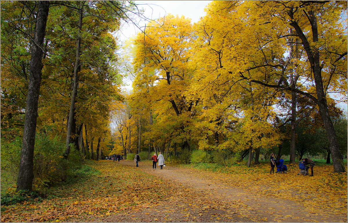Осень - Влад Чуев