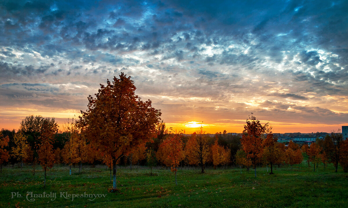 Золотит закат осенний листья пожелтевшие. (Снято на Canon EOS 300d) - Анатолий Клепешнёв