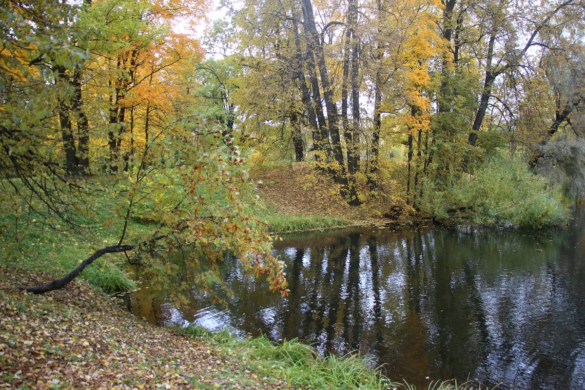 Александровский парк - Наталья Герасимова