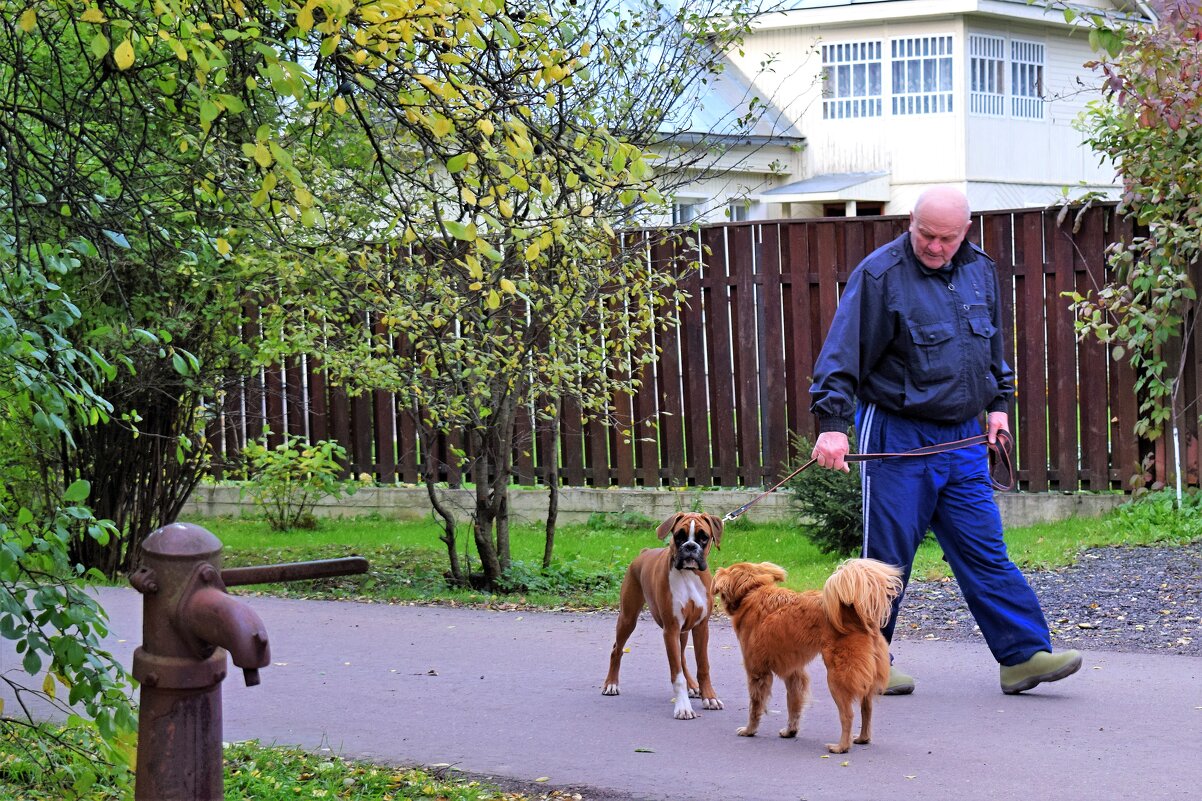 Вот это кавалер! А какой прикид: белая манишка с кленовым листом. - Татьяна Помогалова