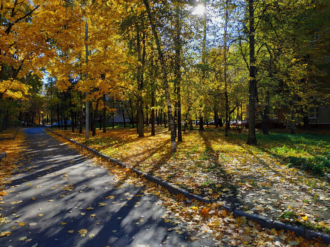 В городе октябрь - Андрей Лукьянов