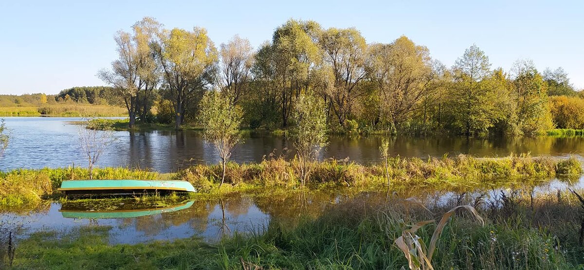 Осень на реке - Надежда Буранова 