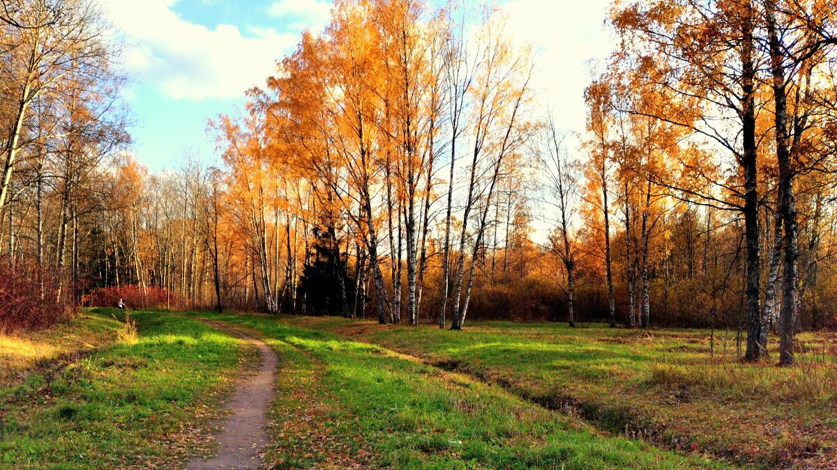 В Баболовском парке осенью - 3 - Сергей 