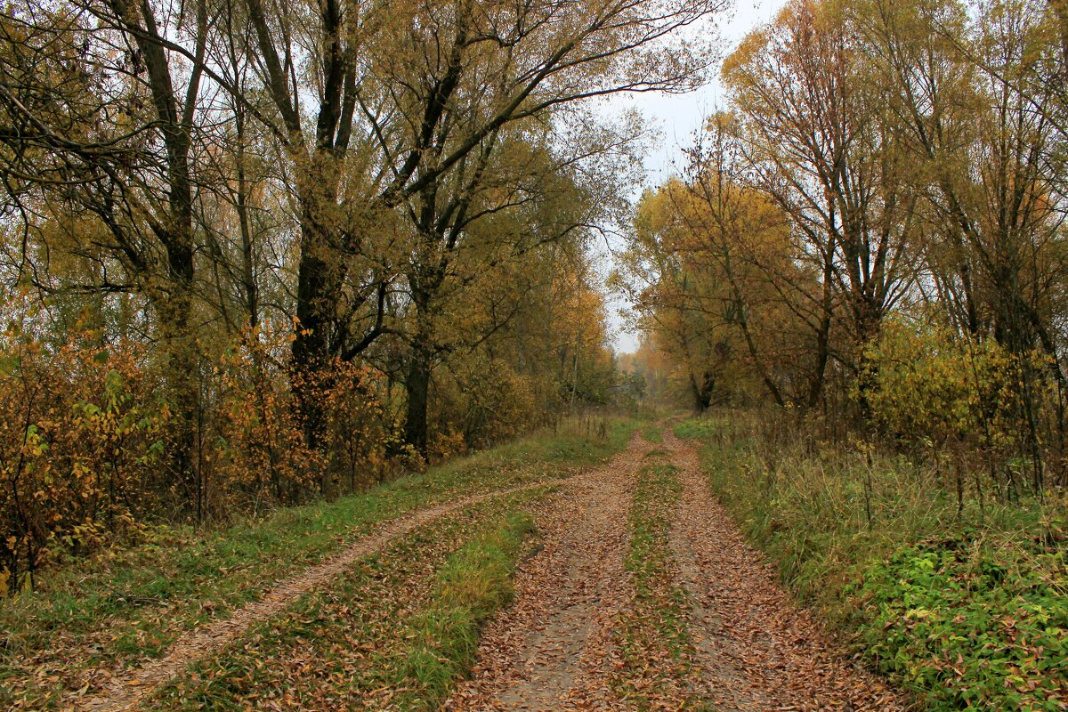 Осень - Сергей 