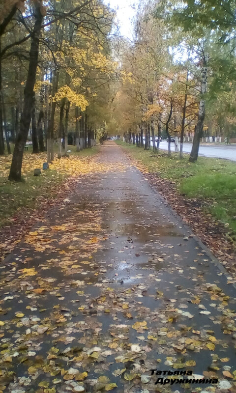 Осень - Татьяна Дружинина