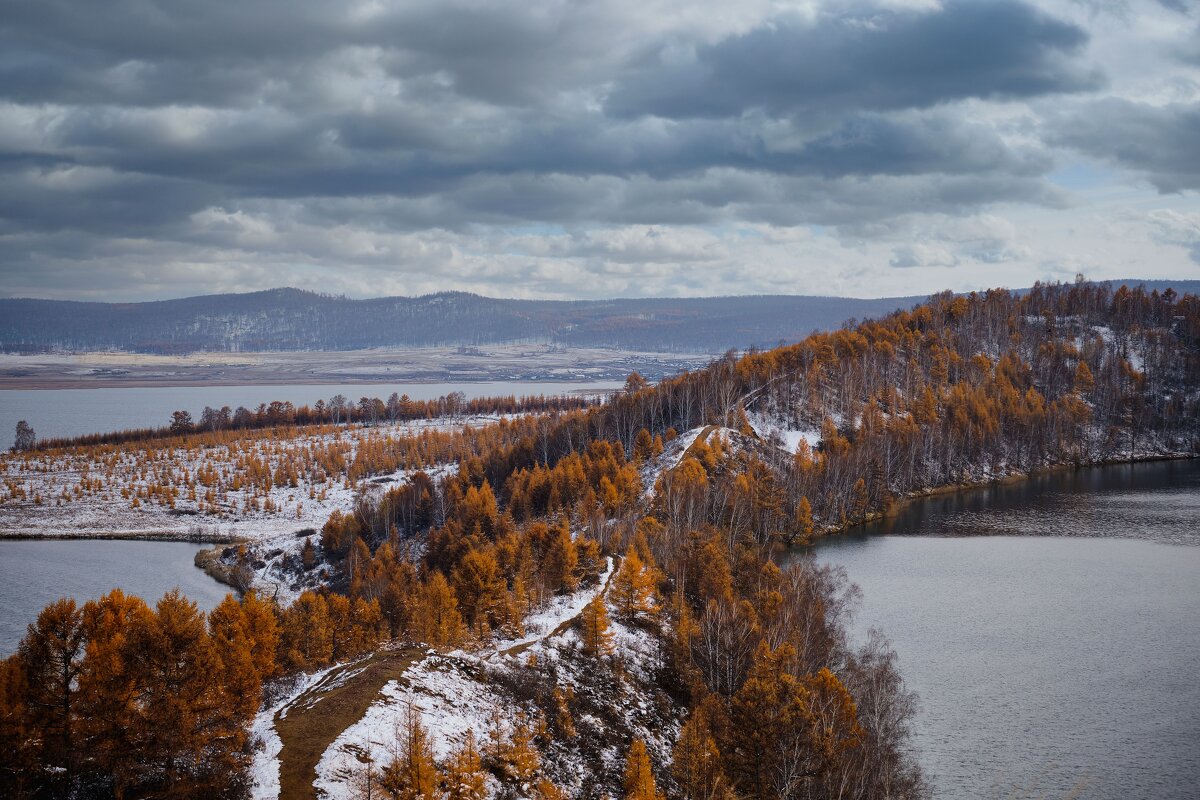 *** - Алексей Мезенцев