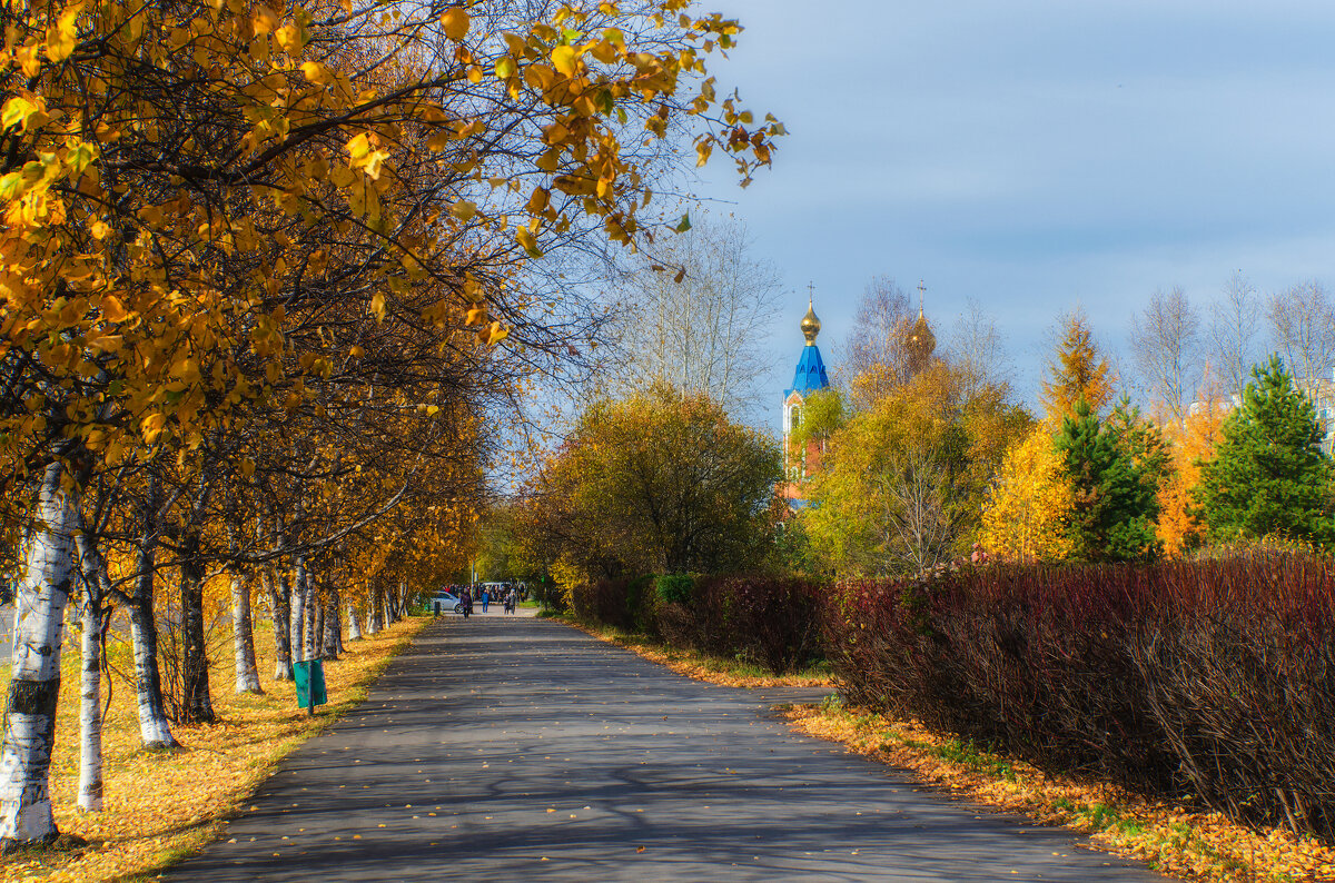 Осень в городе. - Виктор Иванович Чернюк