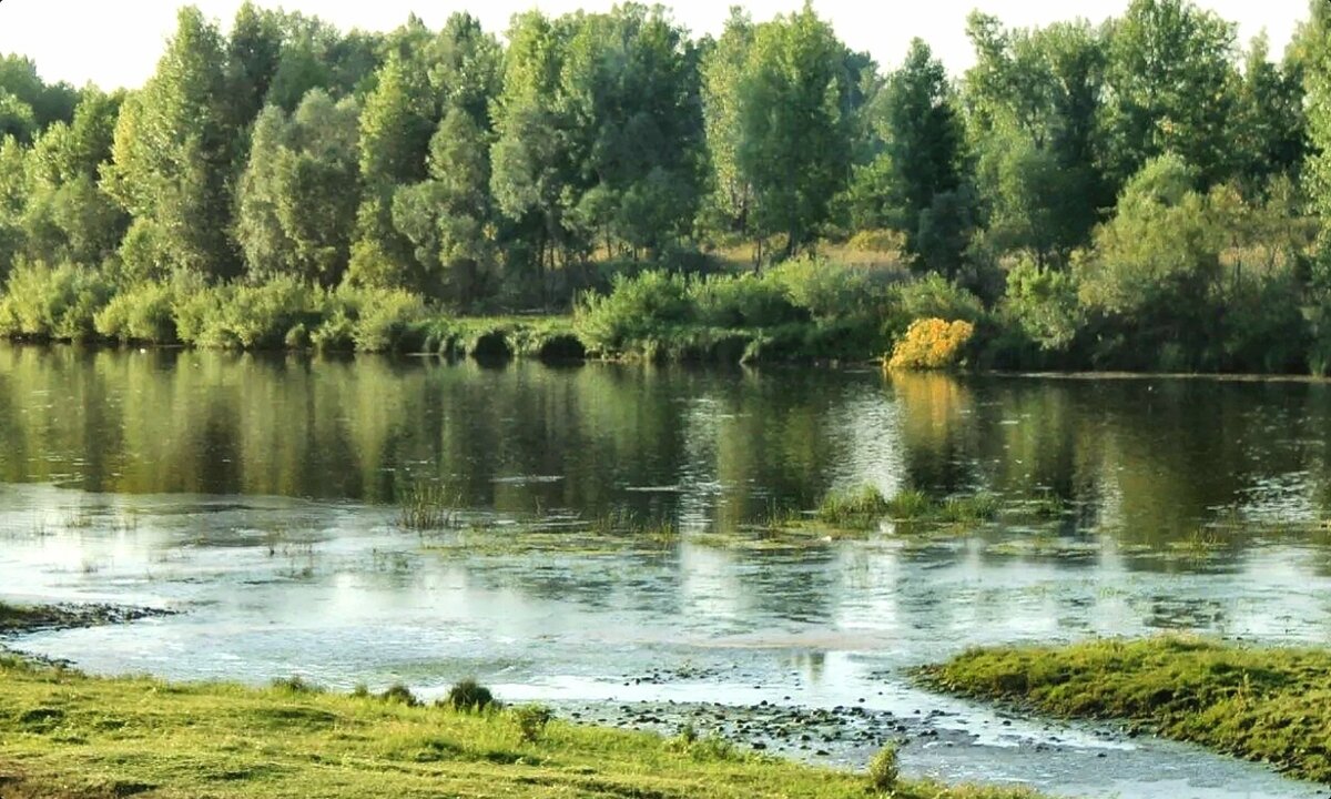 Башкирия , река Белая - Горкун Ольга Николаевна 