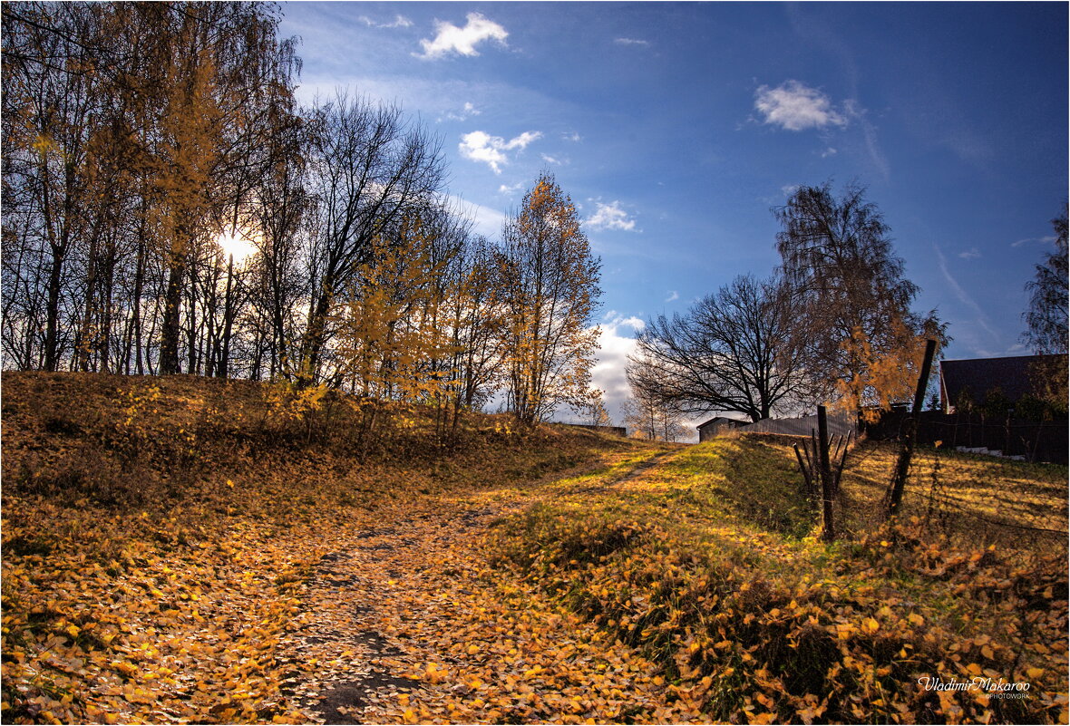 "В золоте, опавшей с деревьев, листвы© - Владимир Макаров