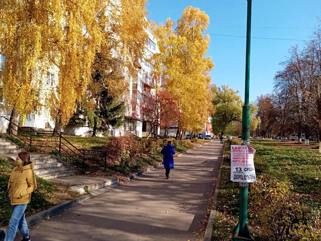 Осеннее. - Владимир Драгунский