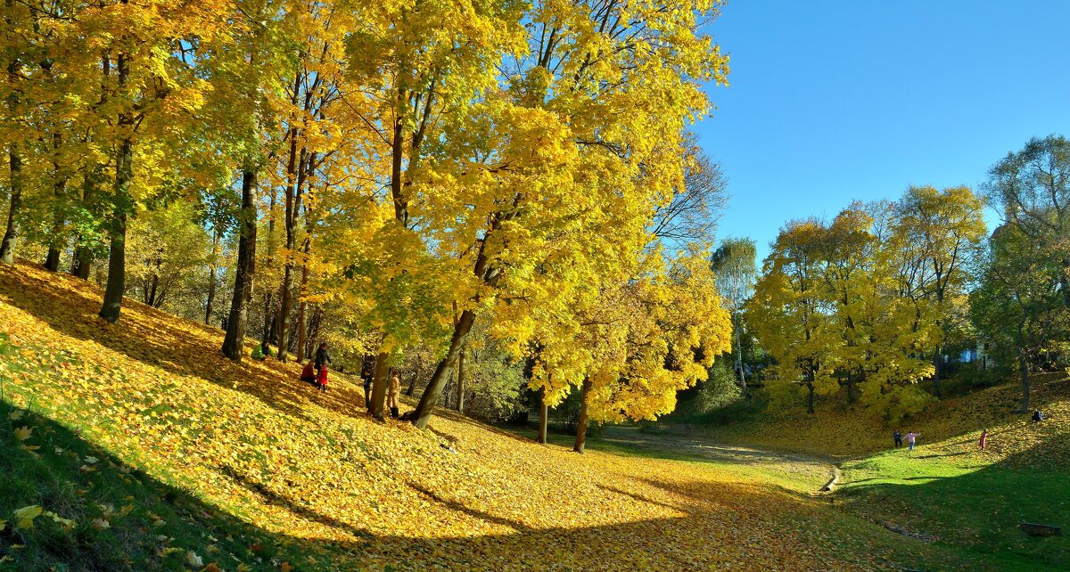 ЦАРИЦЫНО - АЛЕКСАНДР 