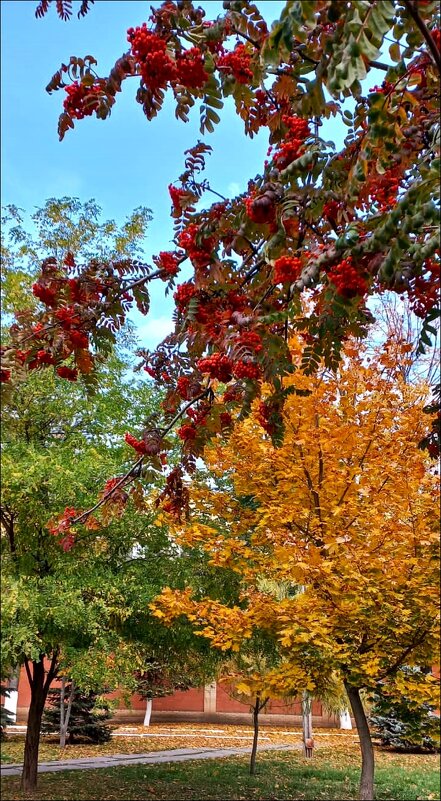 Разноцветная осень - Надежда 