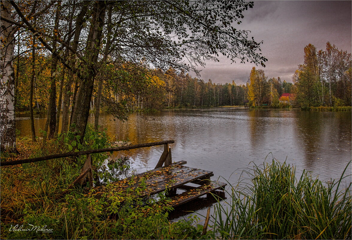 "Дождливый осенний день. Мосток"© - Владимир Макаров