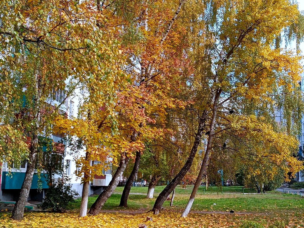 Осеннее - Владимир Драгунский