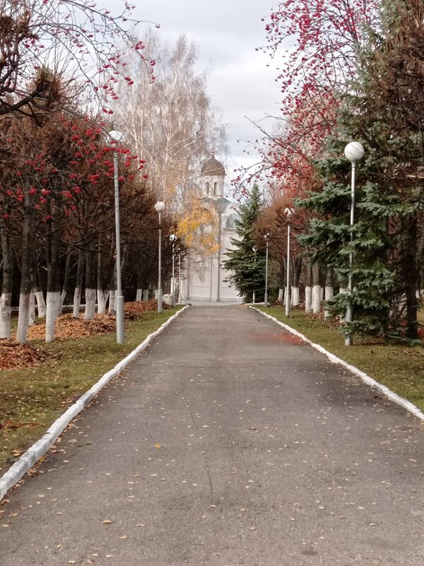 Осенние зарисовки природы - Наталия 