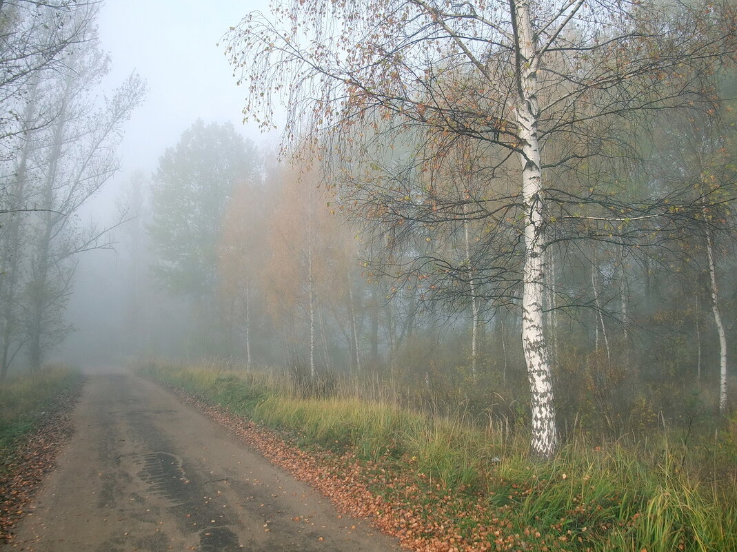 По дороге в осенний туман - Николай Белавин