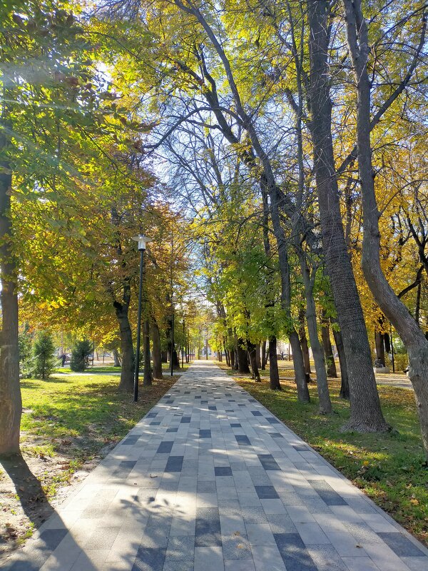 Осенний парк - Yulia Raspopova